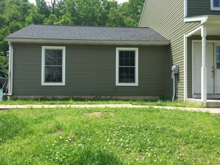 q what trees bushes can i plant between house and sidewalk