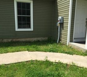 q what trees bushes can i plant between house and sidewalk