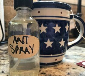 all natural ant spray diy