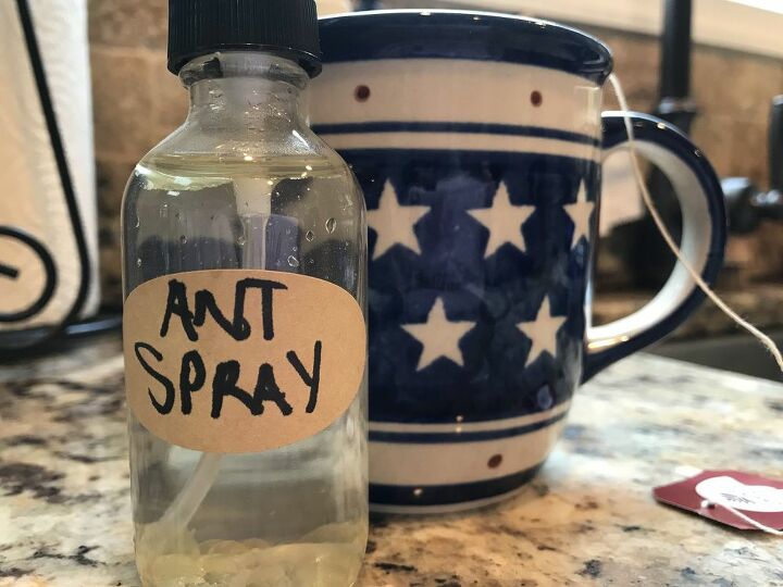 all natural ant spray diy