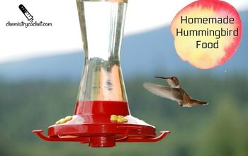 Alimento casero fácil para colibríes