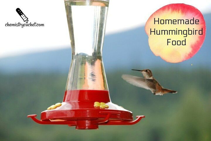alimento casero fcil para colibres