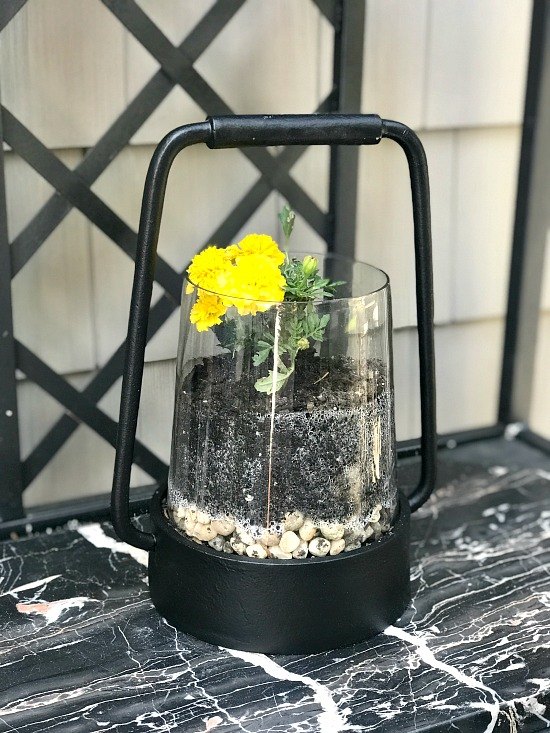 turn a lantern into a planter