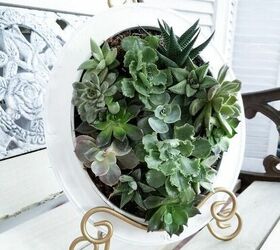 framed succulent planter