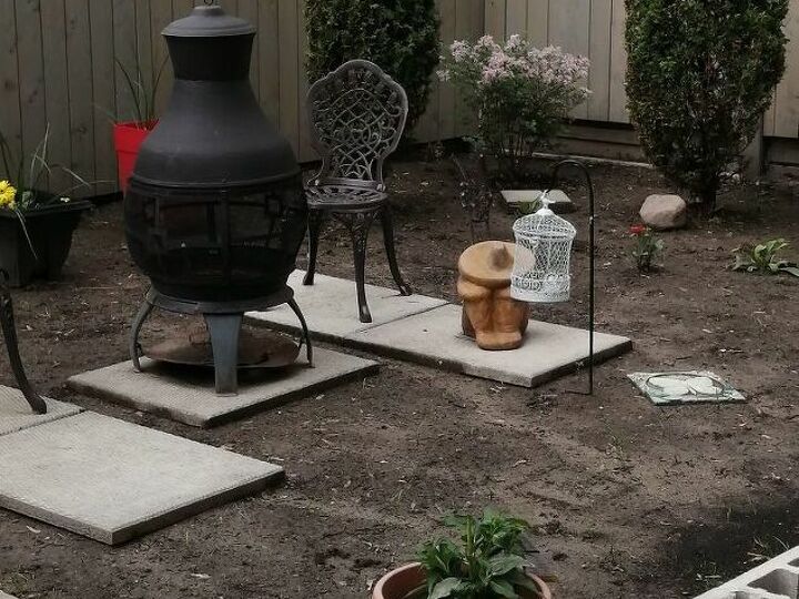 q what to put next to bush