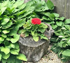 how to make a planter from an old stump
