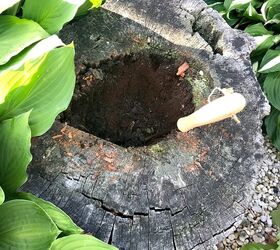 how to make a planter from an old stump