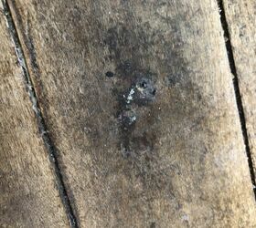how to remove rusted broken off staples from a hardwood floor
