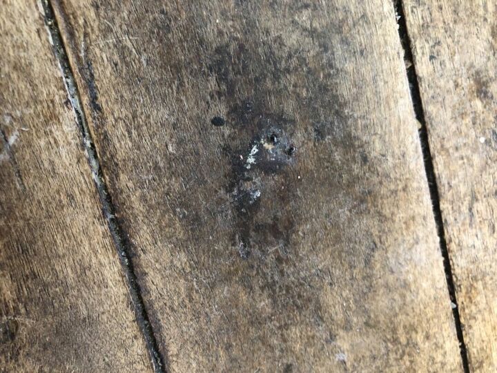 q remove rusted broken off staples from a hardwood floor
