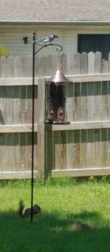 q how can i keep squirrels out of this birdfeeder