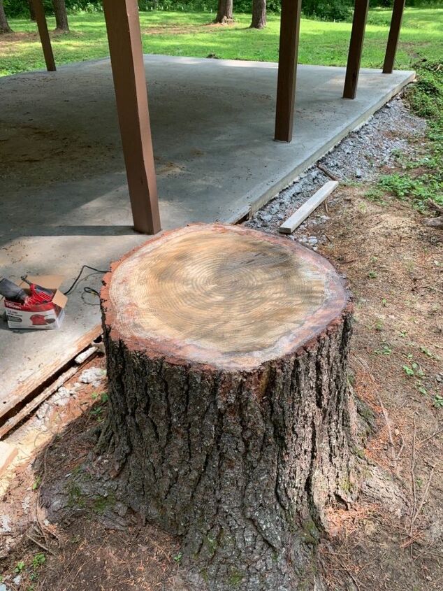 q how do i make a pine stump into a learning tool