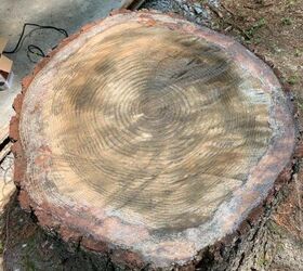 q how do i make a pine stump into a learning tool