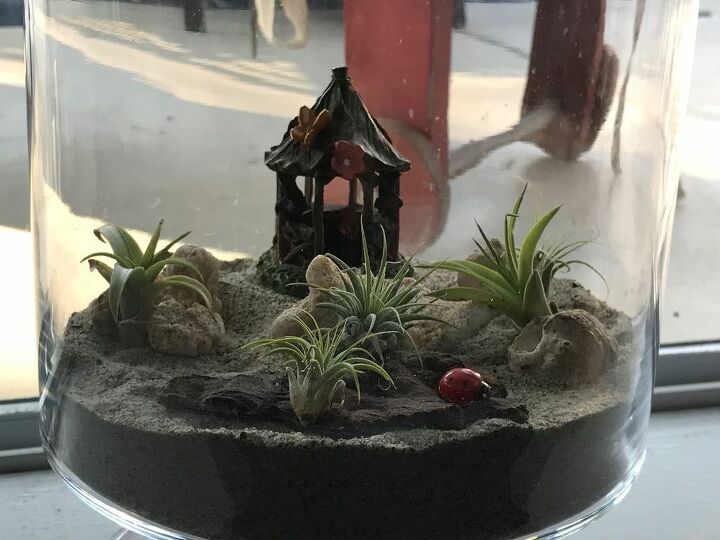 q how do i support airplants