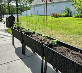 raised bed container gardening