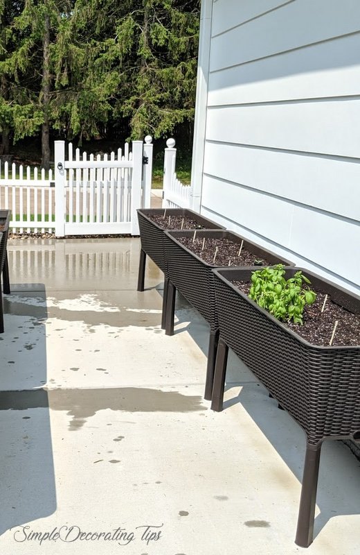 raised bed container gardening