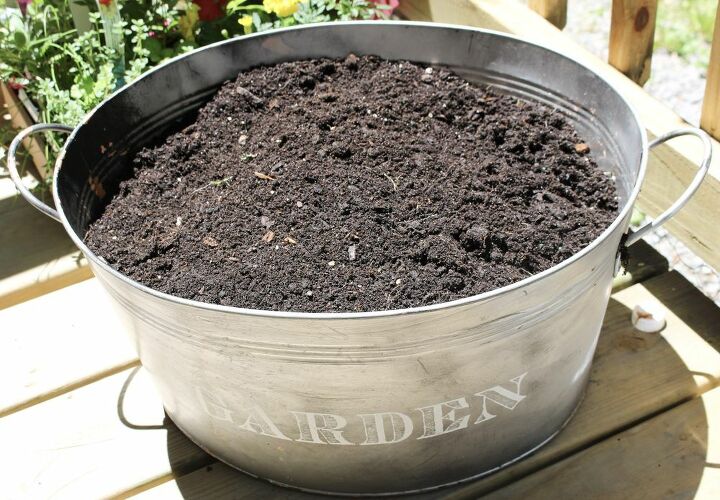 como plantar um jardim de ervas em um balde galvanizado