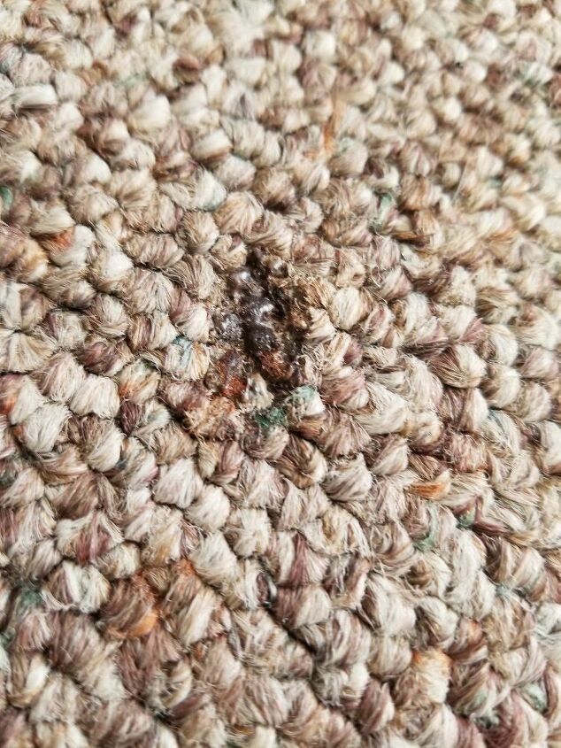 how do i cover up burns in carpet