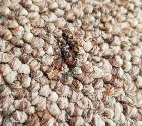 How Do I Cover Up Burns In Carpet Hometalk
