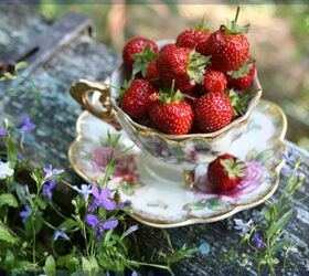 the strawberry patch delicious hacks