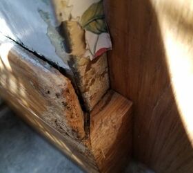 How do I fix the wood that my puppy chewed Hometalk