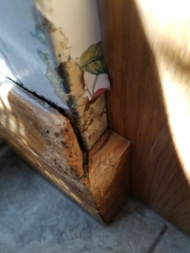 how do i fix the wood that my puppy chewed