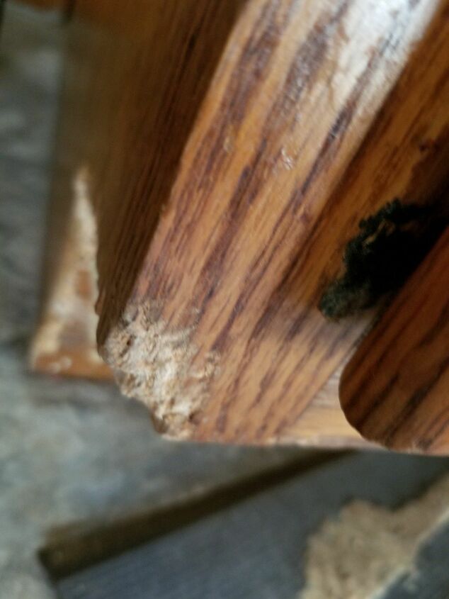 how do i fix the wood that my puppy chewed