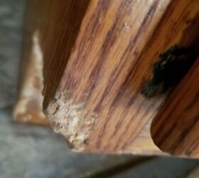 How do I fix the wood that my puppy chewed? | Hometalk