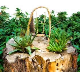 turn a tree stump into a planter the easy way