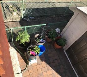 q about my outdoor vegetables they are in containers in the they
