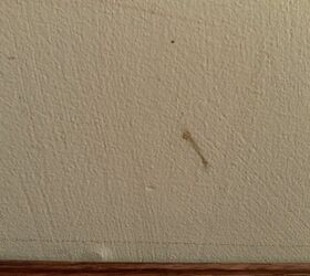 how can i clean cat snot off of a painted wall