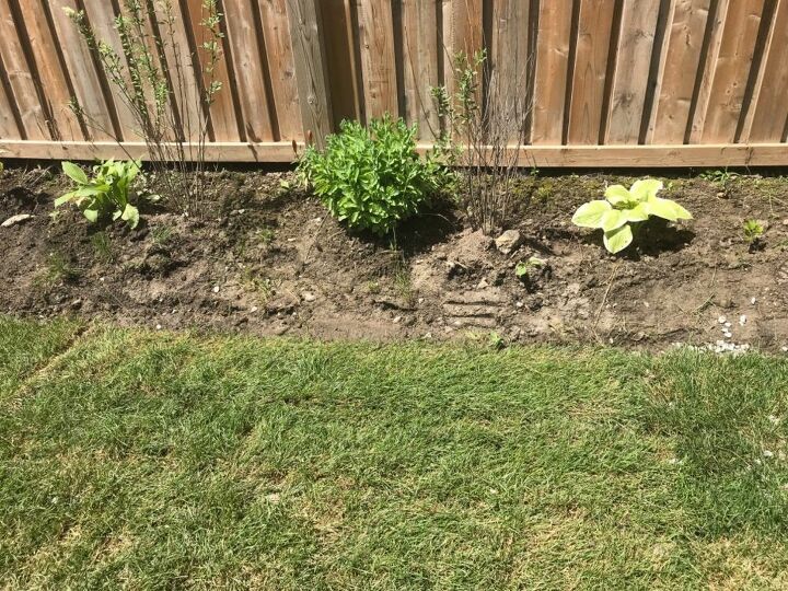 how do make over a muddy backyard