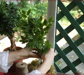 make a topiary from live branches