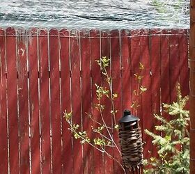 Recinto para el Estanque Trasero | Hometalk