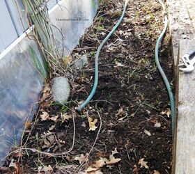 Put a leaky hose in your garden for this brilliant summer hack