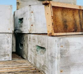 repurposing bee boxes