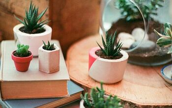 5 Outdoors-Inspired DIY Nature Home Décor Ideas