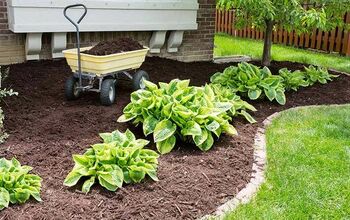 Organize the Backyard for Spring With These Handy How-To's