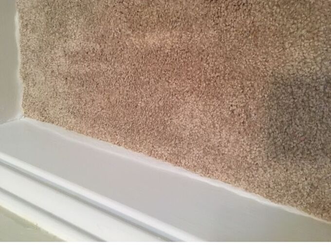How Can I Repair Wood Trim Ruined By Cat Urine Hometalk How Can I Repair Wood Trim Ruined By Cat Urine Hometalk
