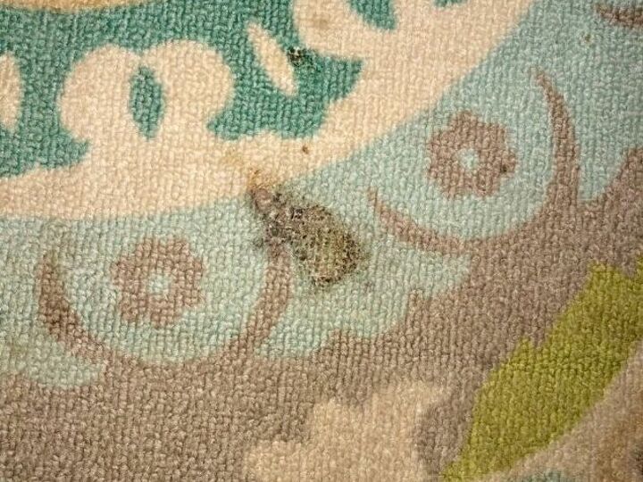 q how do i fix burn on outdoor rug