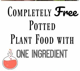 one ingredient potted plant food from tea bags