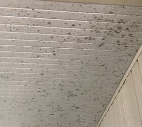 how can i remove mold from my ceilings