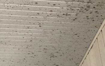 How can I remove mold from my ceilings?