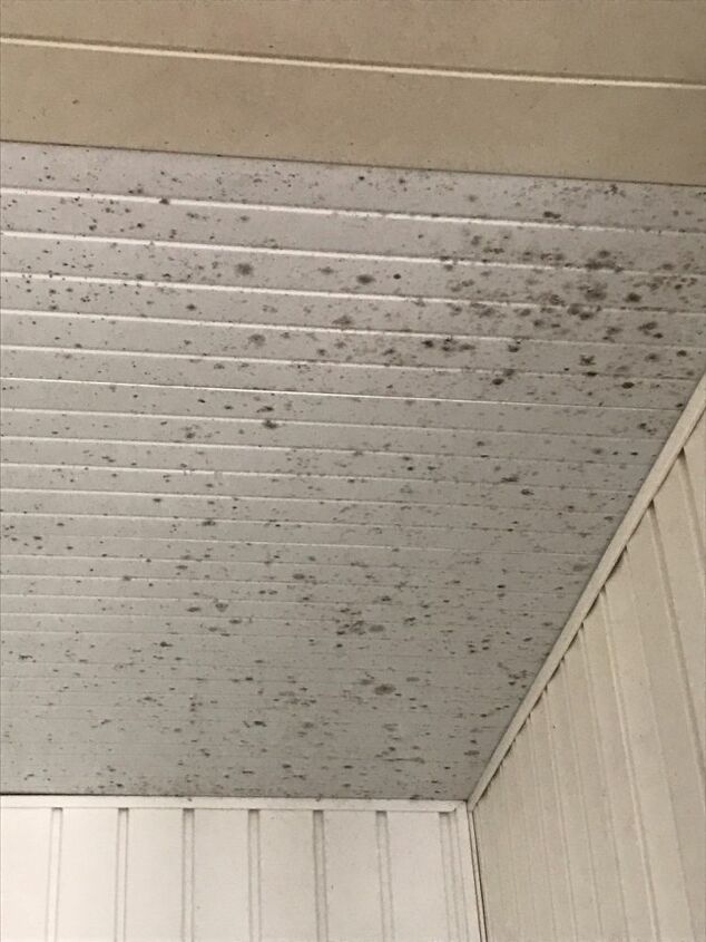 how can i remove mold from my ceilings