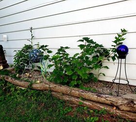 how to use logs as edging for plants make a wall trellis, Plants growing up the trellis
