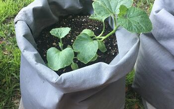 DIY Fabric Grow Bags