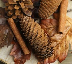 DIY Cinnamon-Scented Pine Cones - The Kitchen Garten