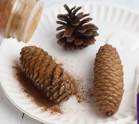 naturally scented cinnamon pine cones