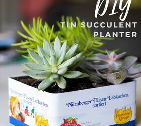diy tin succulent planter