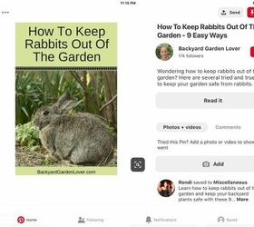 How Do I Get Rid Of Rabbits That Are Eating My Plants Hometalk