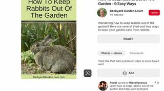 How Do I Get Rid Of Rabbits That Are Eating My Plants Hometalk